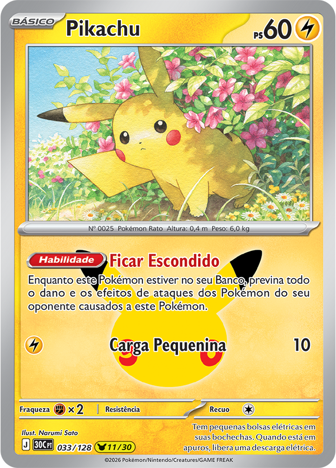 Pikachu 033
