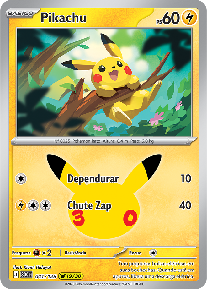 Pikachu 041