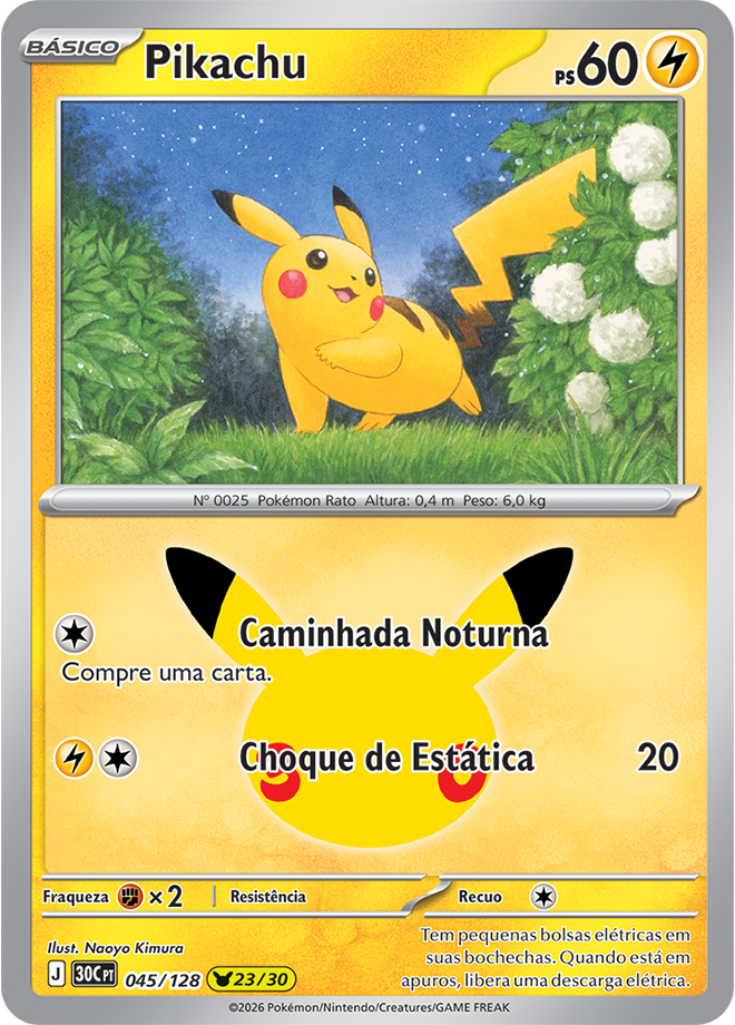 Pikachu 045
