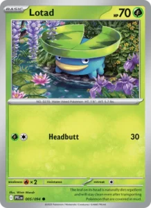 Lotad 005/94