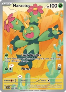 Maractus 093/86